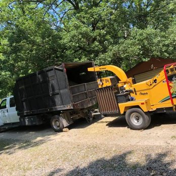 Midwest Tree Experts - Tree Services Near Me Midwest Tree Experts - Tree Services Near Me