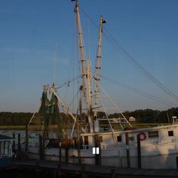 Captain Nance's - They catch the fish daily
