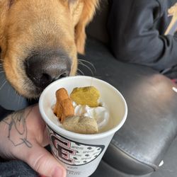 Cafe Elite - Pup cup
