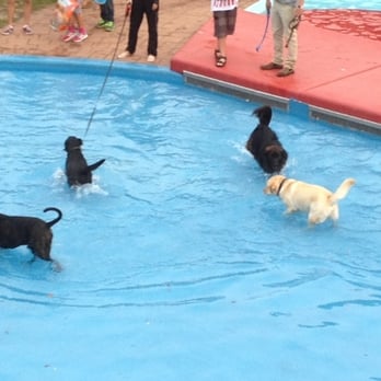 Openluchtbad De Goffert - Openluchtbad De Goffert - Swimming Pools Near Me - Nijmegen, GE