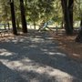 Giant Redwoods RV & Cabin Destination