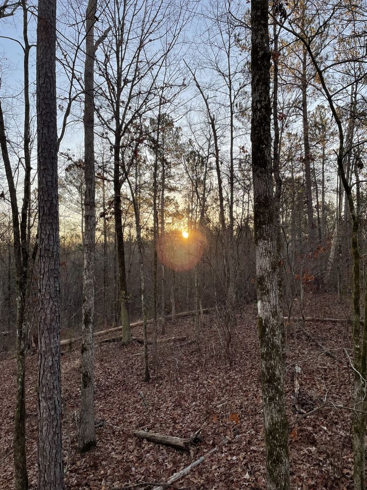 JD Moorehead - grief counselor in Jacksonville, FL