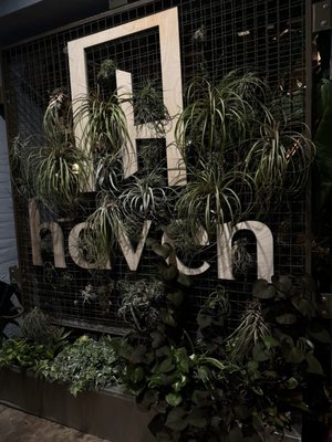 Haven by null