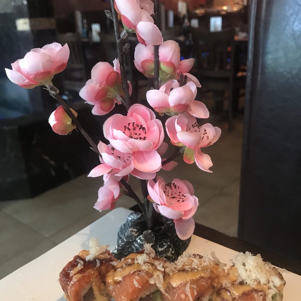 Shogun Sushi - Mmmm tuna!!!! - Sushi Bars Near Me - Tampa, Florida Shogun Sushi - Mmmm tuna!!!! - Sushi Bars Near Me - Tampa, Florida