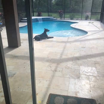 CM Custom Pool Designs - Our dog really loves it - Pool & Hot Tub Service Near Me - Holly Hill, Florida