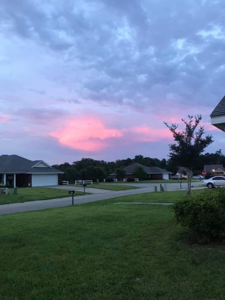 WILL’S PROSCAPE LAWN MAINTENANCE SERVICE Robertsdale, Alabama Lawn