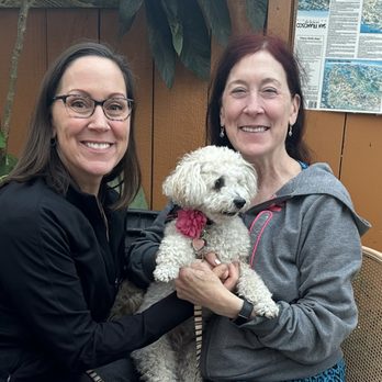King of Kabab - Dog-friendly digs! - Mediterranean Near Me - Berkeley, California