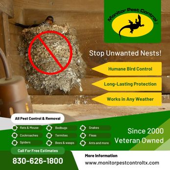 Monitor Pest Control - Bird exclusion - Pest Control Near Me - New Braunfels, Texas Monitor Pest Control - Bird exclusion - Pest Control Near Me - New Braunfels, Texas