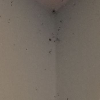 WorldMark Indio - Worldmark Indio 4- this was corning in unit bed room over bed - Resorts Near Me - Indio, California