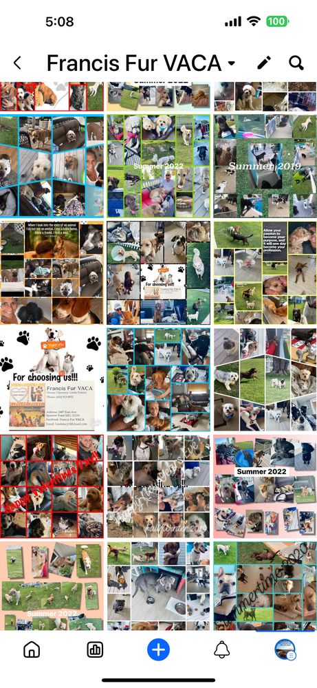 Francis Fur VACA - pet boarding facility in Sparrow Point, MD