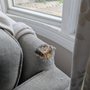 Photo of Leonard Upholstery Repair