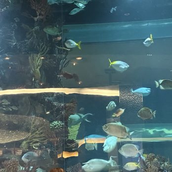 The Tank - Swimming Pools Near Me - Las Vegas, Nevada The Tank - Swimming Pools Near Me - Las Vegas, Nevada
