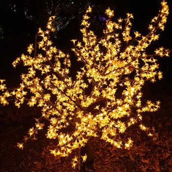 Winterlights at Newfields - Festivals Near Me - Indianapolis, Indiana Winterlights at Newfields - Festivals Near Me - Indianapolis, Indiana