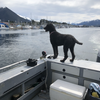 Ben's Sitka Boat Tours - Boat Tours Near Me Ben's Sitka Boat Tours - Boat Tours Near Me