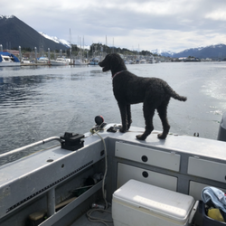 Ben's Sitka Boat Tours