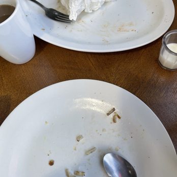 Cape Arago Cafe & Espresso - Proof of a delish meal... empty plates, very full belly's. - Breakfast & Brunch Near Me - Charleston, Oregon Cape Arago Cafe & Espresso - Proof of a delish meal... empty plates, very full belly's. - Breakfast & Brunch Near Me - Charleston, Oregon