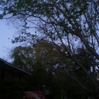 Halls Tree Service - Tree Services Near Me - Lexington, North Carolina Halls Tree Service - Tree Services Near Me - Lexington, North Carolina