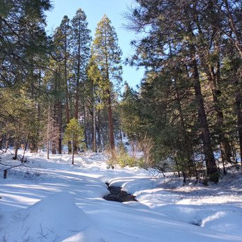 Miami Mountain Road - 2022 Jan 3 - Hiking Near Me - Oakhurst, California