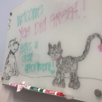 Kakaako Pet Hospital - They had a sweet message waiting for us in the room after her spay operation. - Veterinarians Near Me - Honolulu, Hawaii Kakaako Pet Hospital - They had a sweet message waiting for us in the room after her spay operation. - Veterinarians Near Me - Honolulu, Hawaii
