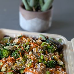 Teriyaki Plate