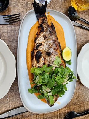 Fair Haven Oyster Company by null