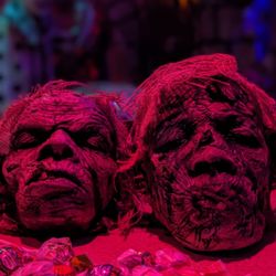 Monsterland Museum