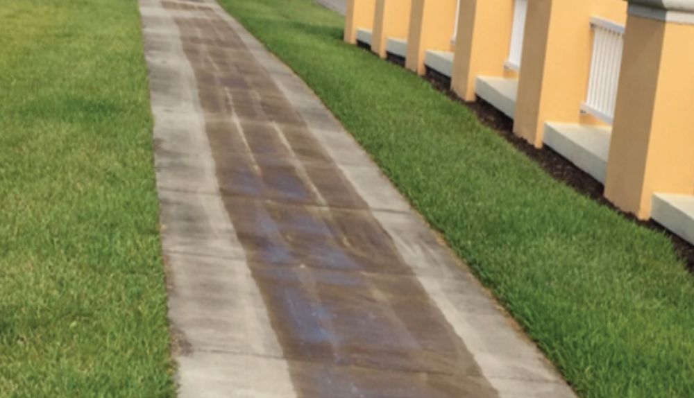 Slide of Citrashield