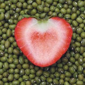 The Healthy Way - Dietitians Near Me - Santa Cruz, California