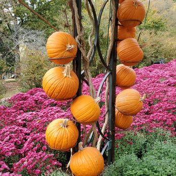 Cheekwood - Botanical Gardens Near Me - Nashville, Tennessee