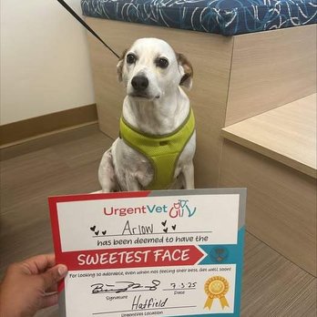 UrgentVet - Hatfield - Veterinarians Near Me - Hatfield, Pennsylvania UrgentVet - Hatfield - Veterinarians Near Me - Hatfield, Pennsylvania