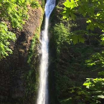 Wildwood Adventures - Horse Tail Falls - Tours Near Me Wildwood Adventures - Horse Tail Falls - Tours Near Me