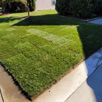 Danny's Lawn Care - Knowing he wouldnt be a man of his word, I decided to do the job myself. I hate I spent $3000 on this "service", but at least I have a lawn. - Landscaping Near Me - Durham, North Carolina Danny's Lawn Care - Knowing he wouldnt be a man of his word, I decided to do the job myself. I hate I spent $3000 on this "service", but at least I have a lawn. - Landscaping Near Me - Durham, North Carolina