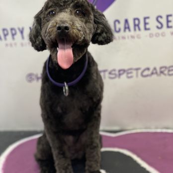 Happy Hearts Pet Care - Pet Groomers Near Me - Atlanta, Georgia Happy Hearts Pet Care - Pet Groomers Near Me - Atlanta, Georgia