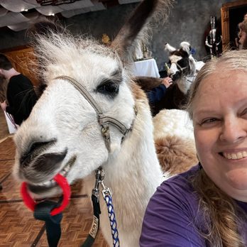 ShangriLlama - Me and Bahama llama with his pacifier - Attraction Farms Near Me ShangriLlama - Me and Bahama llama with his pacifier - Attraction Farms Near Me