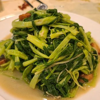 Canton Manor - Tung choy - Chinese Near Me - Bayside, New York Canton Manor - Tung choy - Chinese Near Me - Bayside, New York