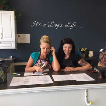 A Wizard of Paws - Call (302) 227-9070 - Pet Groomers Near Me - Rehoboth Beach, Delaware A Wizard of Paws - Call (302) 227-9070 - Pet Groomers Near Me - Rehoboth Beach, Delaware