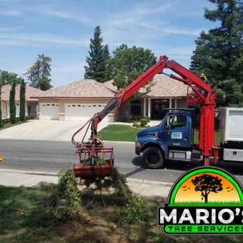 Mario's Tree Services - Crane truck picking up branches - Tree Services Near Me - Bakersfield, California