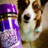 BarkBox gift card