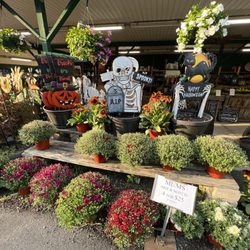 Red Top Farm Market - My favorite fall and Halloween stuff for sale