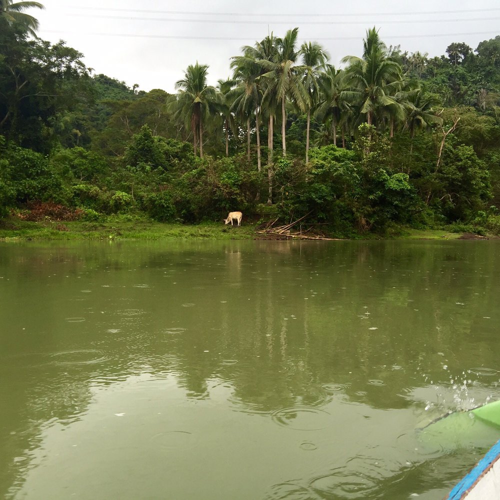 Pagsanjan Falls - Rafting/Kayaking Near Me - Cavinti, LAG Pagsanjan Falls - Rafting/Kayaking Near Me - Cavinti, LAG