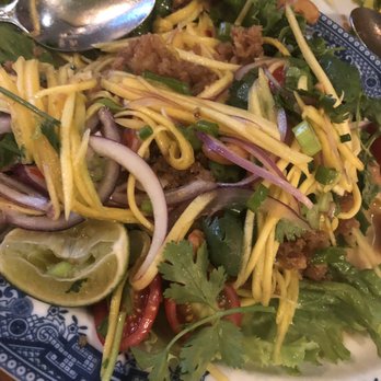 Ayada Thai - Y16. Crispy Ground Catfish Salad - Thai Near Me - Elmhurst, New York Ayada Thai - Y16. Crispy Ground Catfish Salad - Thai Near Me - Elmhurst, New York
