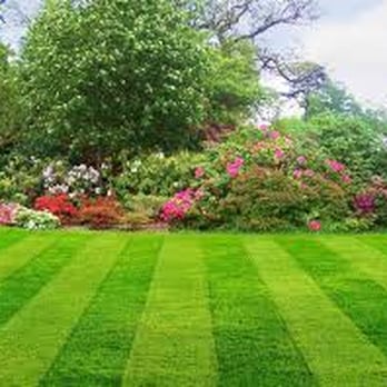 Outdoor Image Lawncare - a green lawn surrounded by flowers and trees - Landscaping Near Me - Roseville, California Outdoor Image Lawncare - a green lawn surrounded by flowers and trees - Landscaping Near Me - Roseville, California