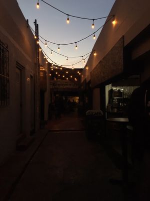 Colectivo 9 by null