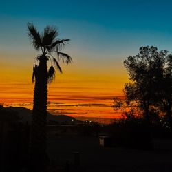 Koa-Barstow - Sunset