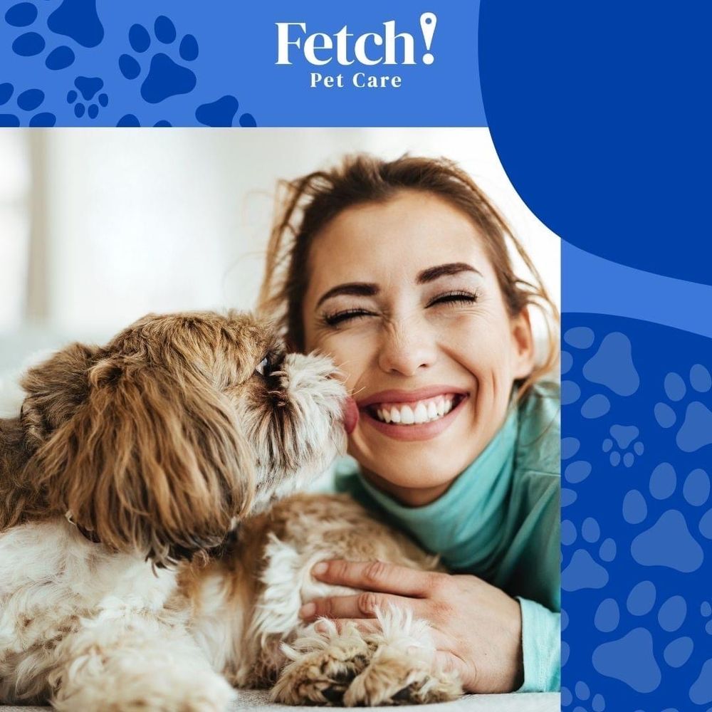 FETCH! PET CARE LOUDOUN Updated September 2024 Request a Quote