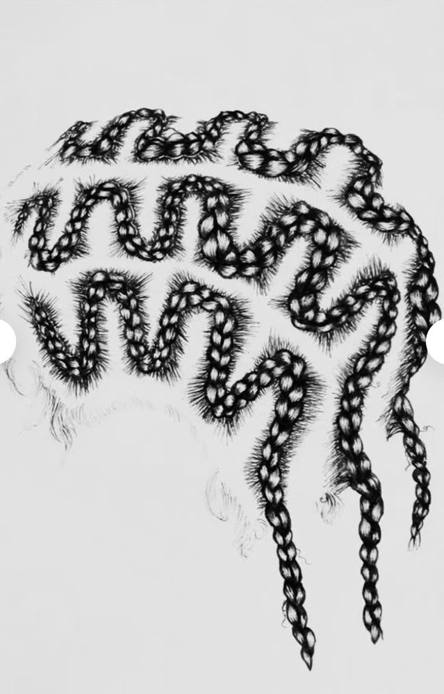 Braids by Nekovia Logo