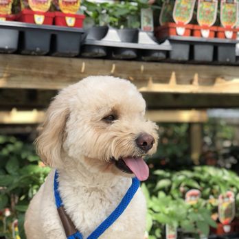 Canoyer Garden Center - Nurseries & Gardening Near Me - Papillion, Nebraska