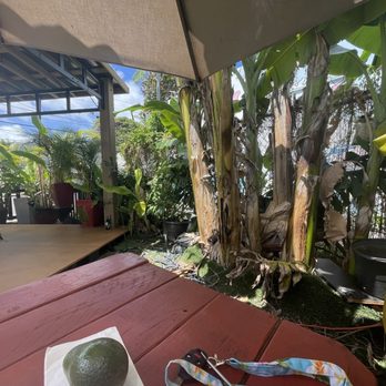 The Garden - Beer Gardens Near Me - Kailua, Hawaii The Garden - Beer Gardens Near Me - Kailua, Hawaii