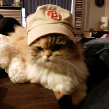 Rivergate Veterinary Clinic - Veterinarians Near Me - New York, New York Rivergate Veterinary Clinic - Veterinarians Near Me - New York, New York