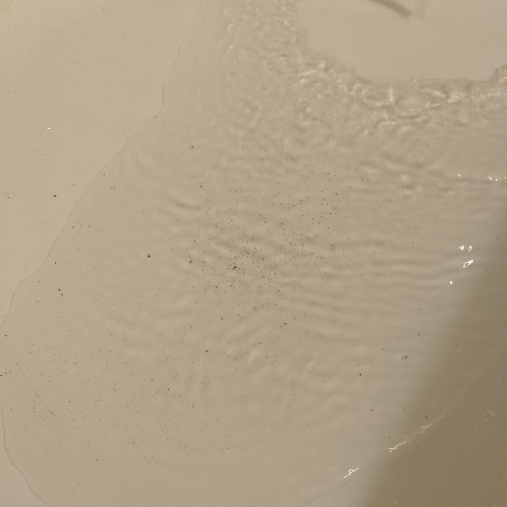 Hard to tell because of the light in the bathroom, but those are dirt particles in the ice cold water in which I had to shower